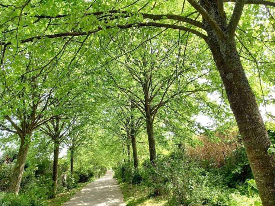 Le Domaine Reserve , Parking Et Ecrin De Verdure Amiens Zewnętrze zdjęcie