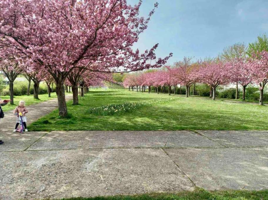 Le Domaine Reserve , Parking Et Ecrin De Verdure Amiens Zewnętrze zdjęcie