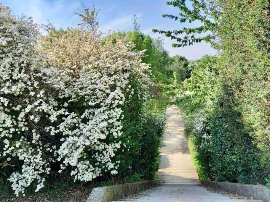 Le Domaine Reserve , Parking Et Ecrin De Verdure Amiens Zewnętrze zdjęcie